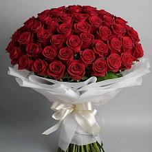 Букет 101 Красная роза Блэк Мэджик в Дубинино