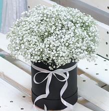 Цветочная композиция из Гипсофила в шляпной коробке #REPLACE_PRED# Дубинино