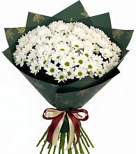 Букет цветов из:  Хризантемы в Дубинино