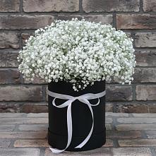 Цветочная композиция из Гипсофила в шляпной коробке в Дубинино