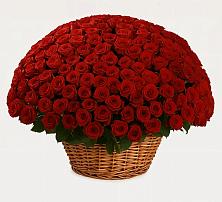 Премиум букет из: Розы в Дубинино