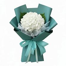Букет цветов из:  Гортензия в Дубинино